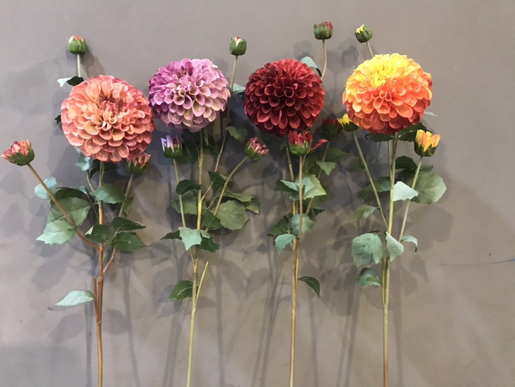 复古油画风仿真秋色大丽花福寿菊室内餐桌装饰品摆设花艺软装插花图片