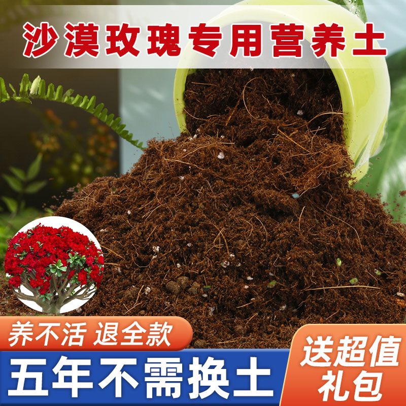 沙漠玫瑰专用土家用盆栽营养土疏松透气酸性沙质土壤花卉种植土图片
