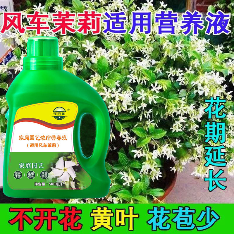 风车茉莉营养液预防叶子发黄烂根家庭绿植盆栽生根促花液体肥料