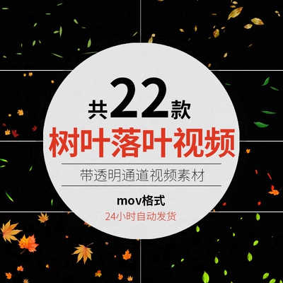 枫叶飘落动态ED PR EDIUS 会声会影剪映FCPX通道落叶MOV视频素材
