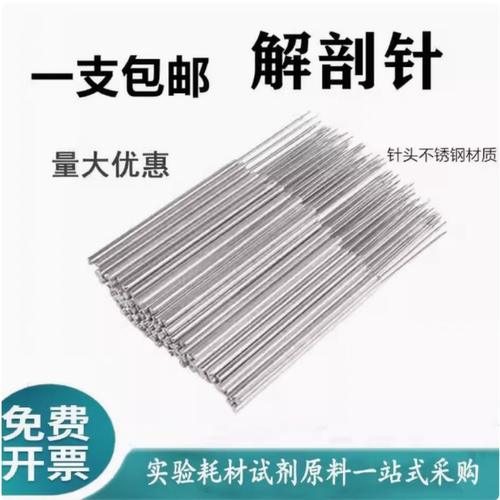 包邮昆虫解剖针金属中学生物实验探针直尖教学解剖工具标本解剖器