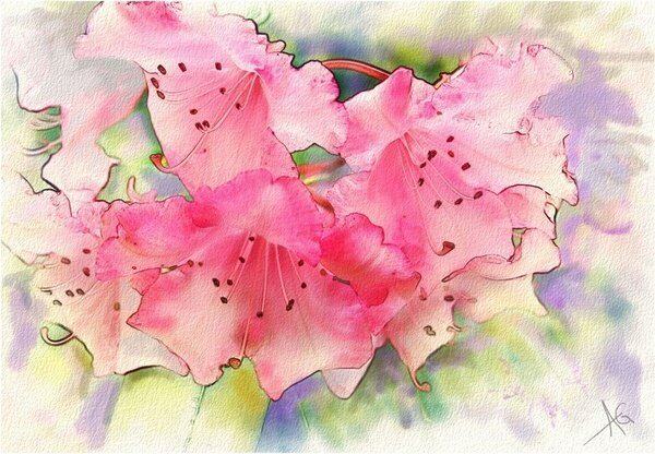 过滤纸绘画大张滤纸水彩水墨美术绘画专用过滤纸60cm*60cm包邮