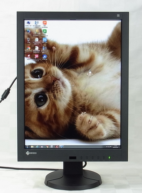 日本代购艺卓EIZO医用显示器GX/RX/240/340/MX/210/215/GS/R22等