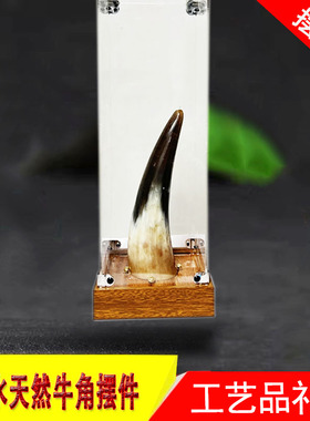 天然牦牛角摆件招财天然牛角