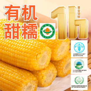 有机甜糯玉米1700g真空8根蒸煮内蒙敖汉山坡地营养餐头茬非转基因