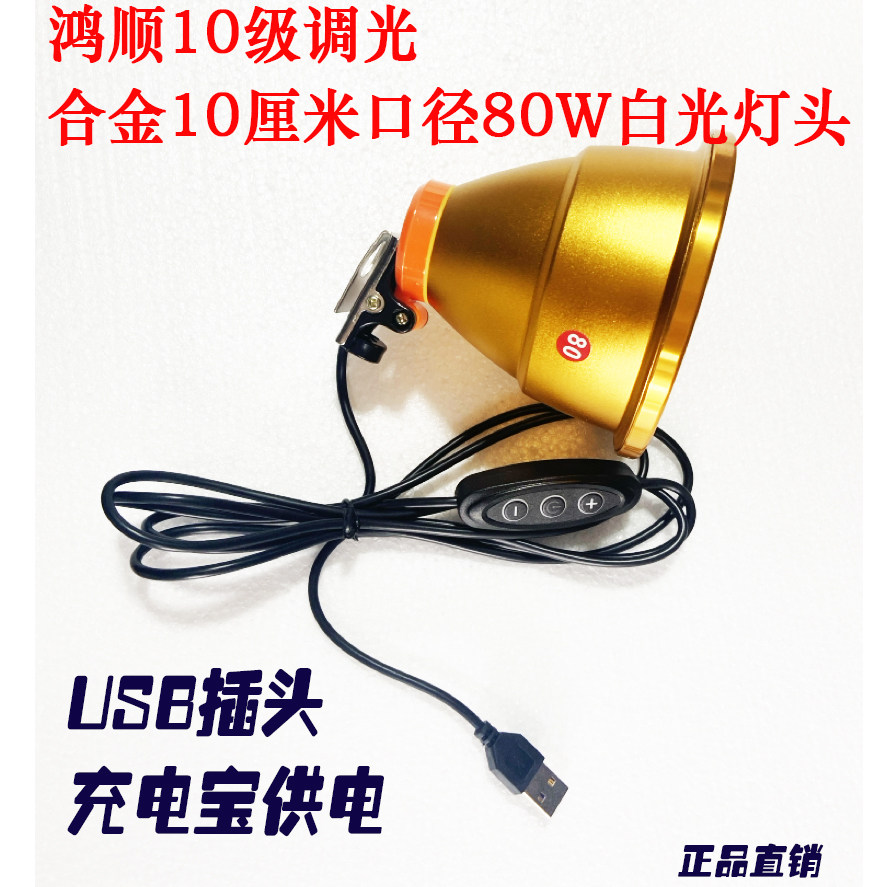 鸿顺无级调光合金高亮聚光80W白光灯头USB插头使用充电宝