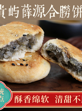 贵屿特产【薛源合 贵屿朥饼】汕头捞饼 潮汕劳饼 14个饼 500g手工