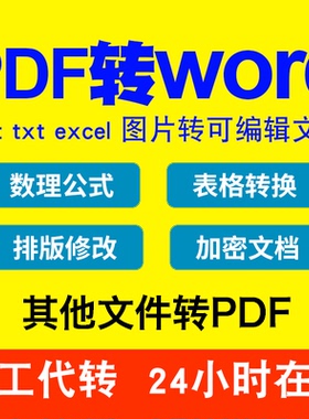 pdf转word/图片/扫描文件转换成word/excel/txt/ppt/html/可编辑