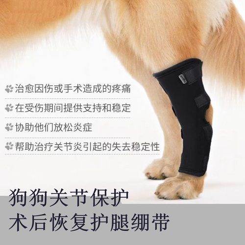 猫狗术后康复关节支撑护膝