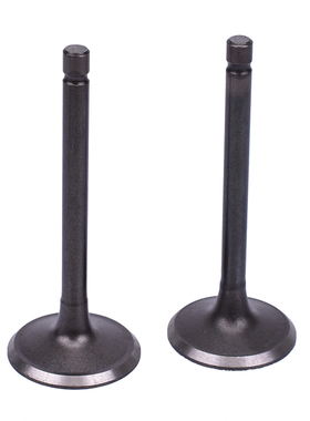 适用本田CA250配件 CBT大地鹰王DD250太子摩托车进气门排气门油封