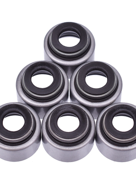 适用雅马哈越野摩托车配件TTR250小鹿225小羚羊XT225氟胶气门油封