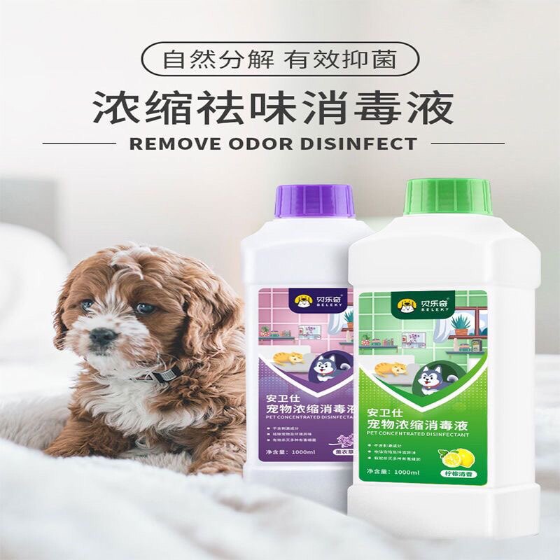 贝乐奇浓缩消毒液1000ml 犬猫通用 环境消杀 抑菌杀菌净化空气