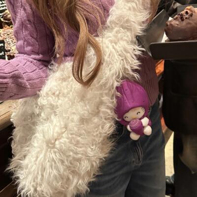 【小熊日记】miu感定染小湖羊皮毛一体卷毛皮草包包