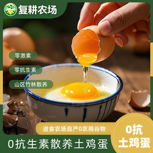 复耕农场生态土鸡蛋0抗0激素农家散养土鸡蛋顺丰包邮(非偏远)