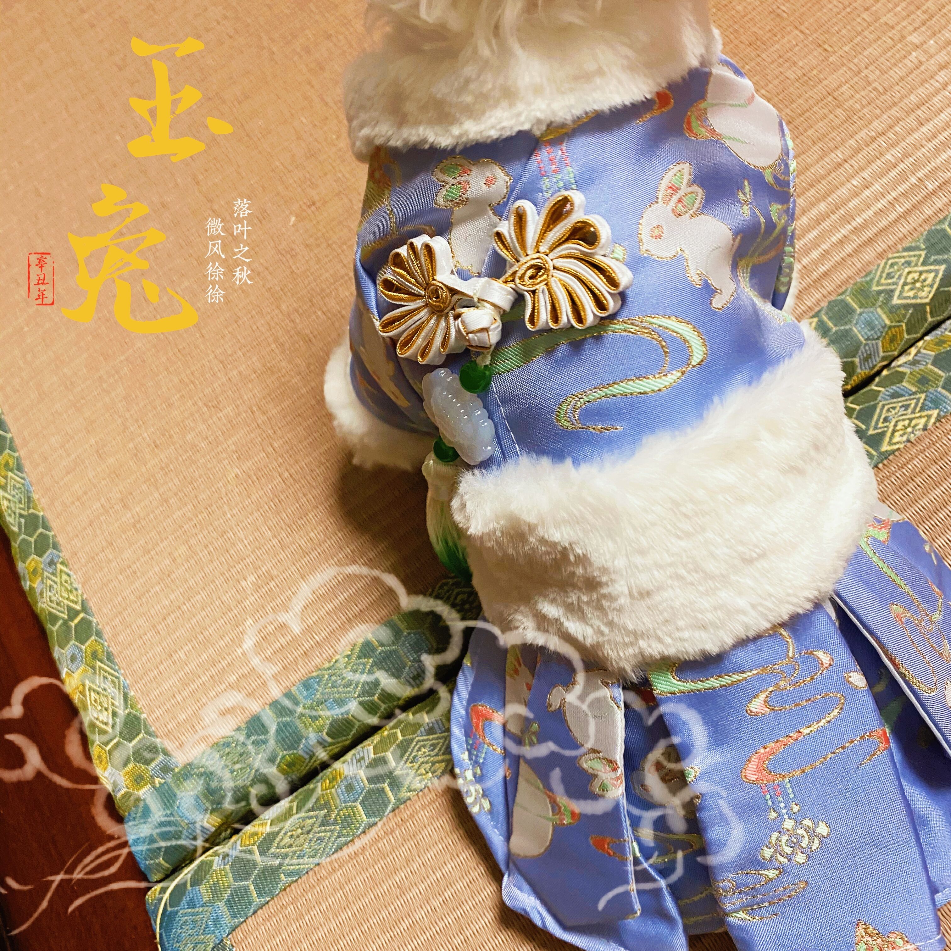 仙女玉兔裙 宠物衣服狗狗连衣裙装唐装新年汉服中国泰迪比熊加厚