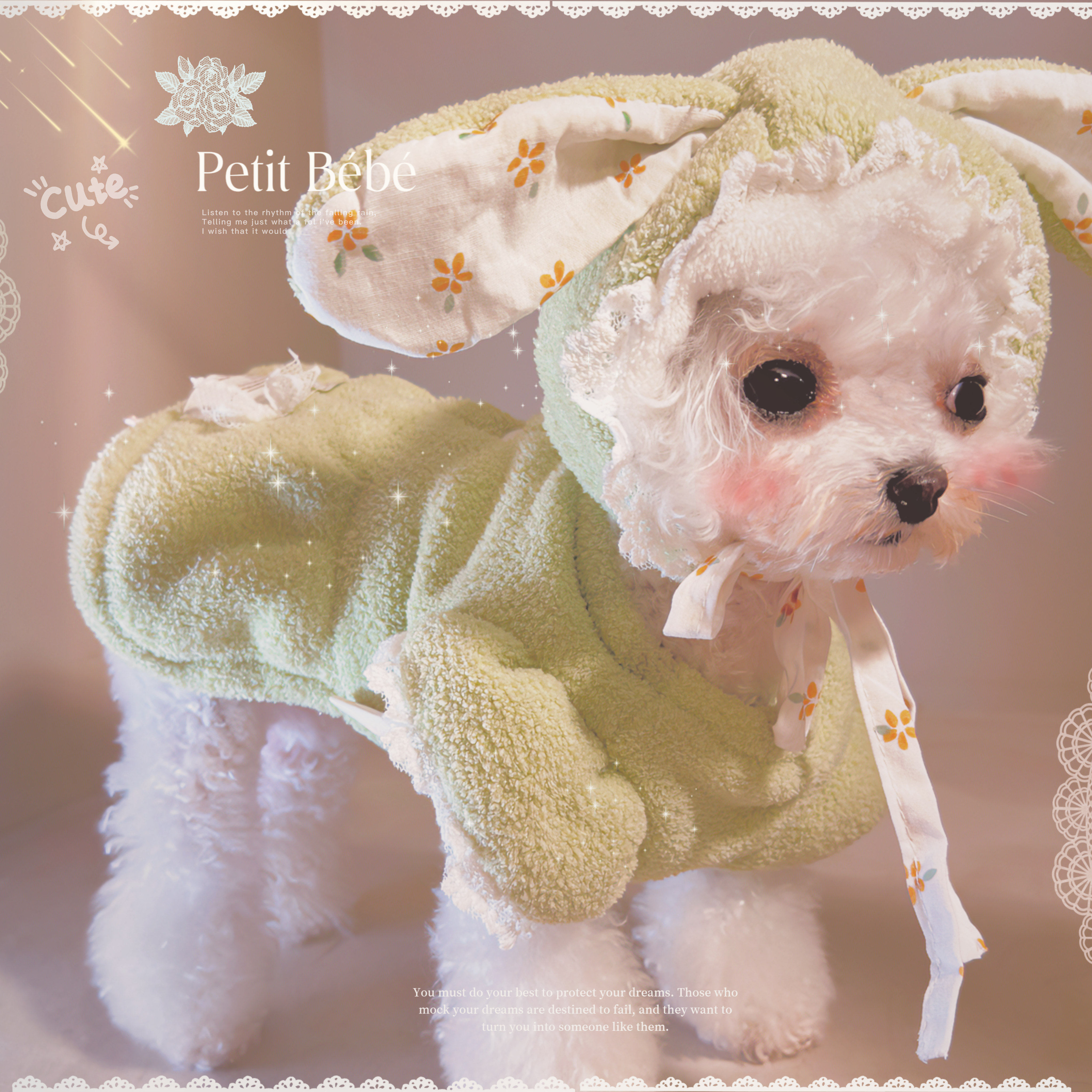 小小兔の小狗狗 马尔济斯秋冬装博美可爱棉衣布偶猫加绒裙万圣节