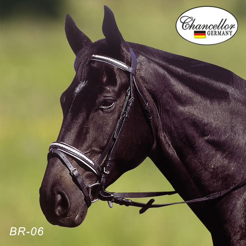 德国英式水勒缰马场马术马鞍配件牛皮马笼头缰绳马具配件