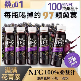 桑加1桑葚汁nfc不加水石榴汁草莓汁网红品整箱饮料饮品