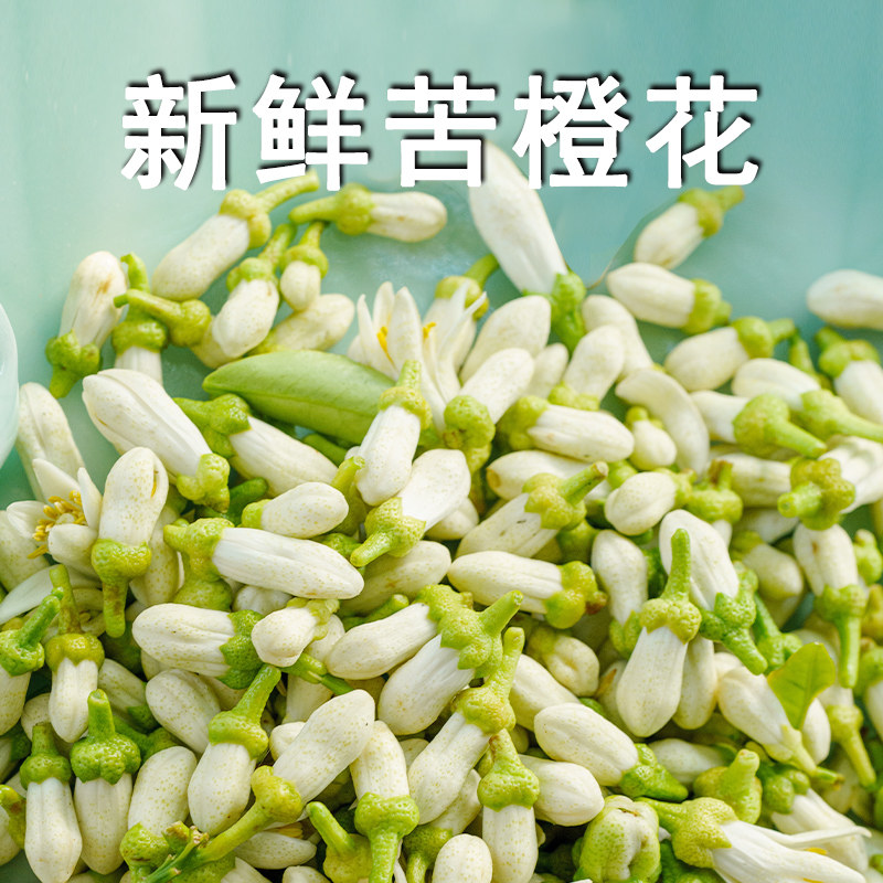 新鲜苦橙花鲜花 苦橙花保鲜包装腌制苦橙花 精油纯露香薰提取原料