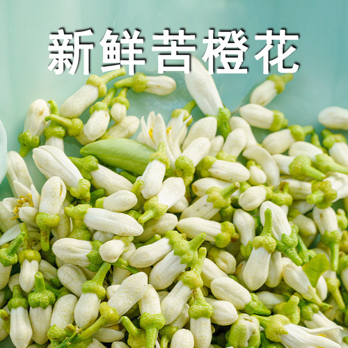 新鲜苦橙花鲜花 苦橙花保鲜包装腌制苦橙花 精油纯露香薰提取原料