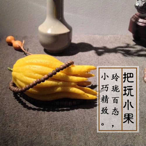 小佛手新鲜佛手把玩佛手柑 佛手小果观赏清供佛手摆件佛手果
