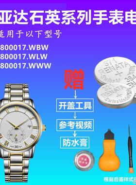 适用FIYTA飞亚达L800017.WBW L800017.WLW L800017.WWW手表电池