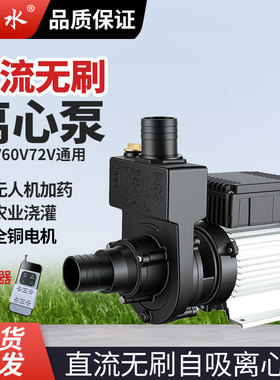 直流无刷自吸离心泵无人机加药泵24v48V60V72v洒水车电瓶车抽水机