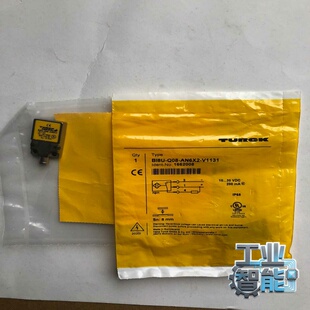 询价 Q08 AN6X2 V1131货 图尔克Bi8U