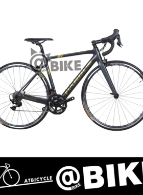 瑞豹PARDUS ROBIN SPORT知更鸟碳纤维公路自行车爬坡综合圈刹