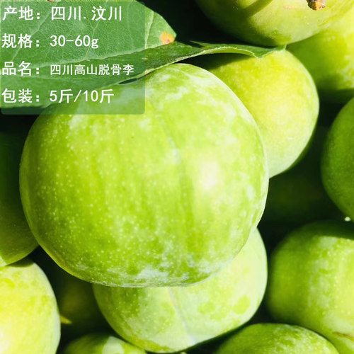 汶川青脆李高海拔晚熟脱骨脆李