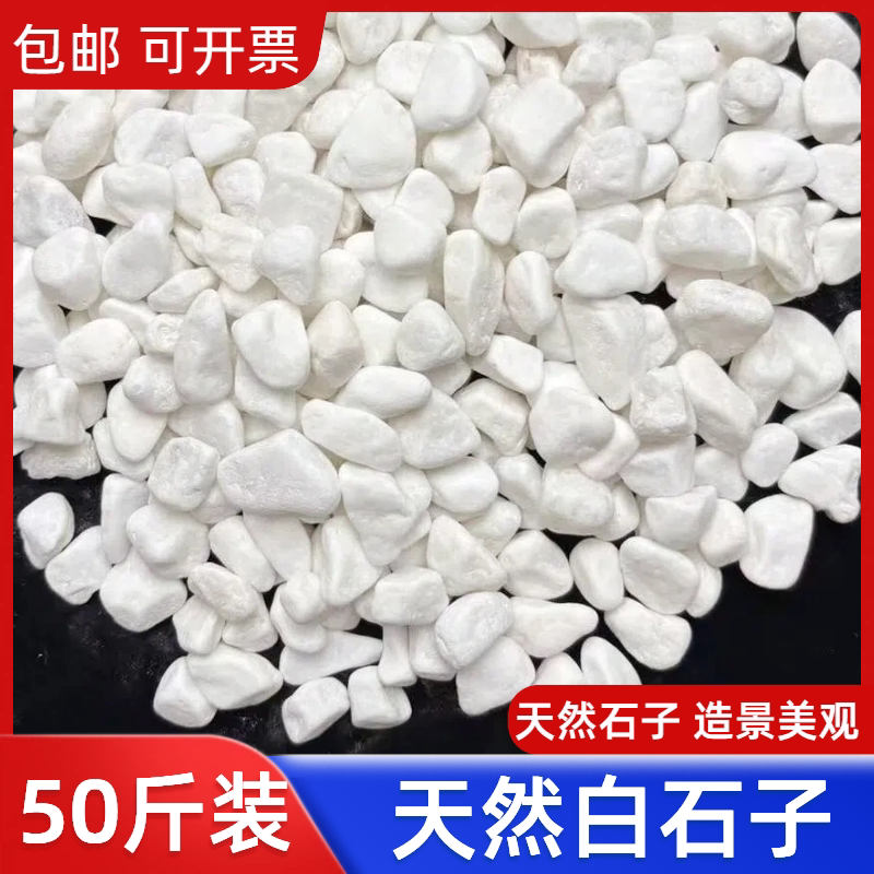50斤装白色石子石头大鹅卵石庭院铺路铺地小白石头造景景观白石子