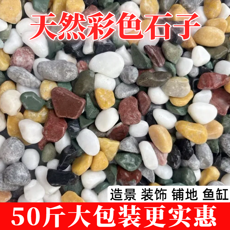 50斤彩色石子水洗石天然彩石造景底砂花园铺地造景装饰五彩小石头