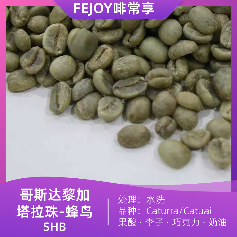 25季哥斯塔拉珠蜂鸟SHB生豆水洗