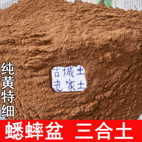 蛐蛐罐底细黄土蟋蟀盆塘