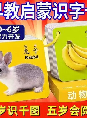 0-6岁早教3D翻翻书益智认知卡