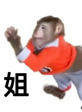 【特价清仓】dinto大集合系列
