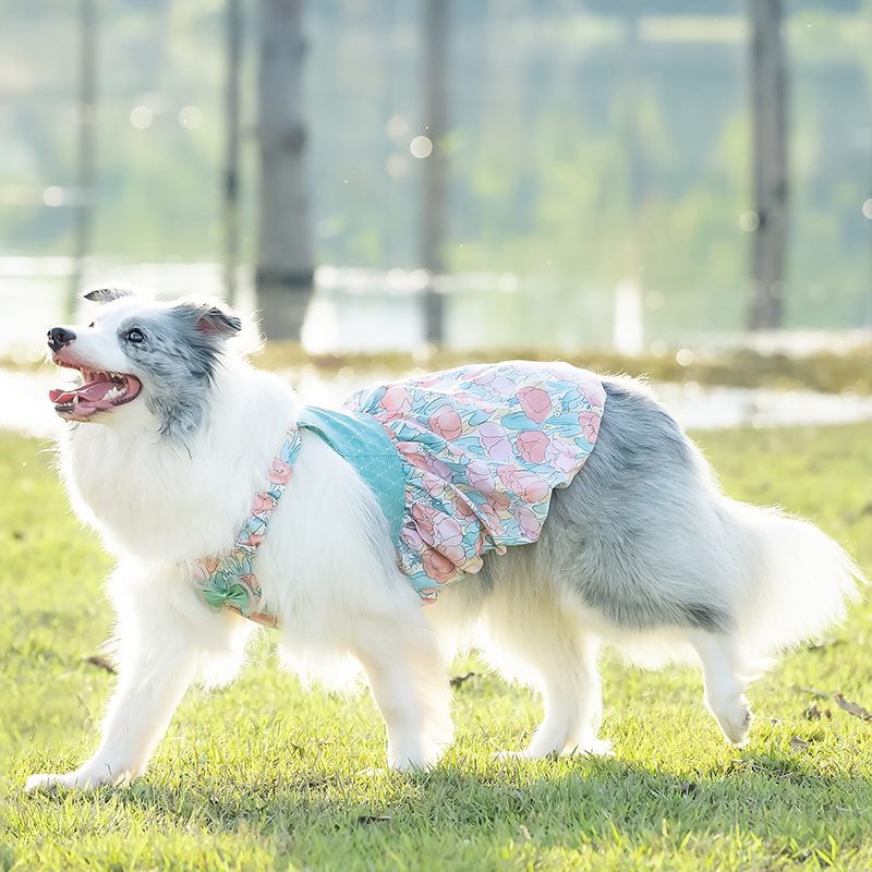 中大型犬裙子衬衫夏天薄款透气