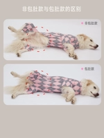 Разница между животом, а не животом