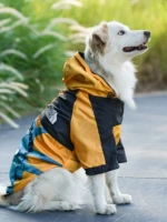 Золотая куртка