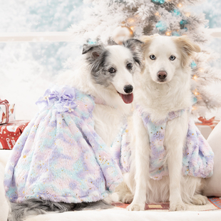 大狗中型犬大型犬裙子秋冬绒毛烫金婚纱礼服公主裙圣诞节新年保暖