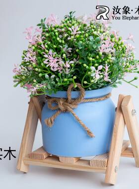 中式花架实木桌面置物架飘窗植物置物架子小型多肉架绿植摆放木架