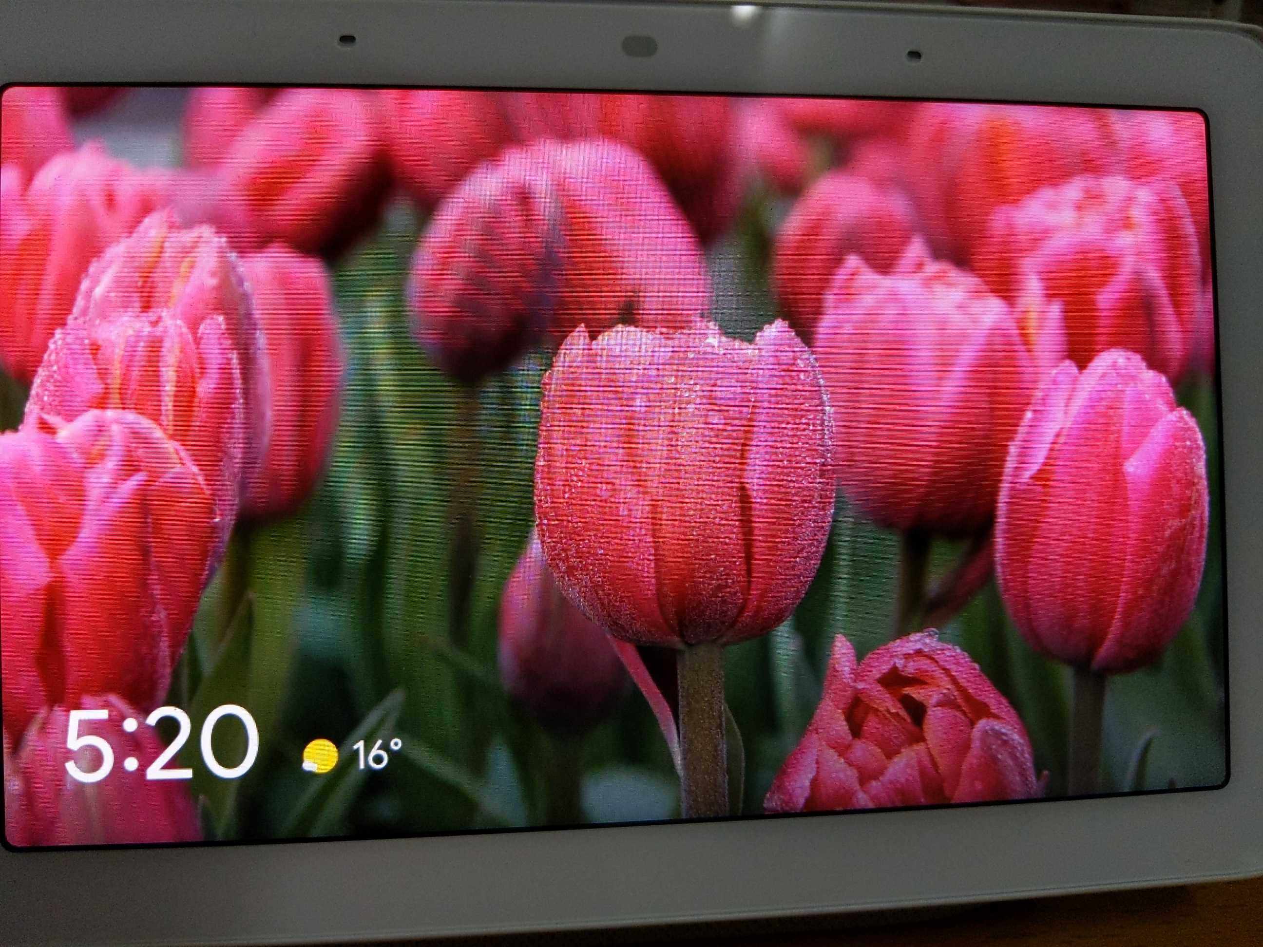 GOOGLE NEST 허브 GOOGLE 홈 스마트 스피커[화면 포함] GOOGLE 7인치 10인치