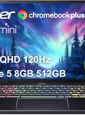 Acer Chromebook Plus 516 GE 16