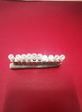 菲尼克斯 组合端子附件固定式桥接件；FBRNI10-5N 订货号2770639