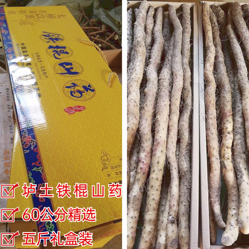 河南焦作温县垆土铁棍山药