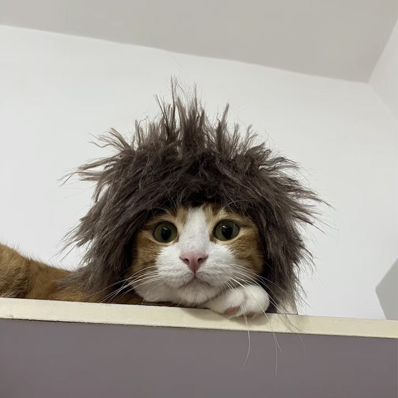 Головной убор кота льва, забавный головной убор для домашних животных, милый медведь, шляпа для переодевания, аксессуары для украшения Изображение 1