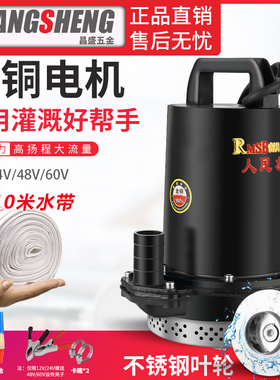 上海人民12V24V48V60V72V直流潜水泵电动车抽水泵电瓶车水泵船用