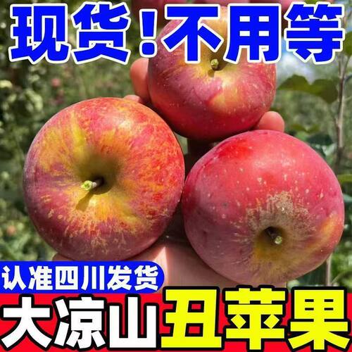 大凉山盐源【冰糖心苹果】丑苹果红富士昭通糖心苹果整箱果园