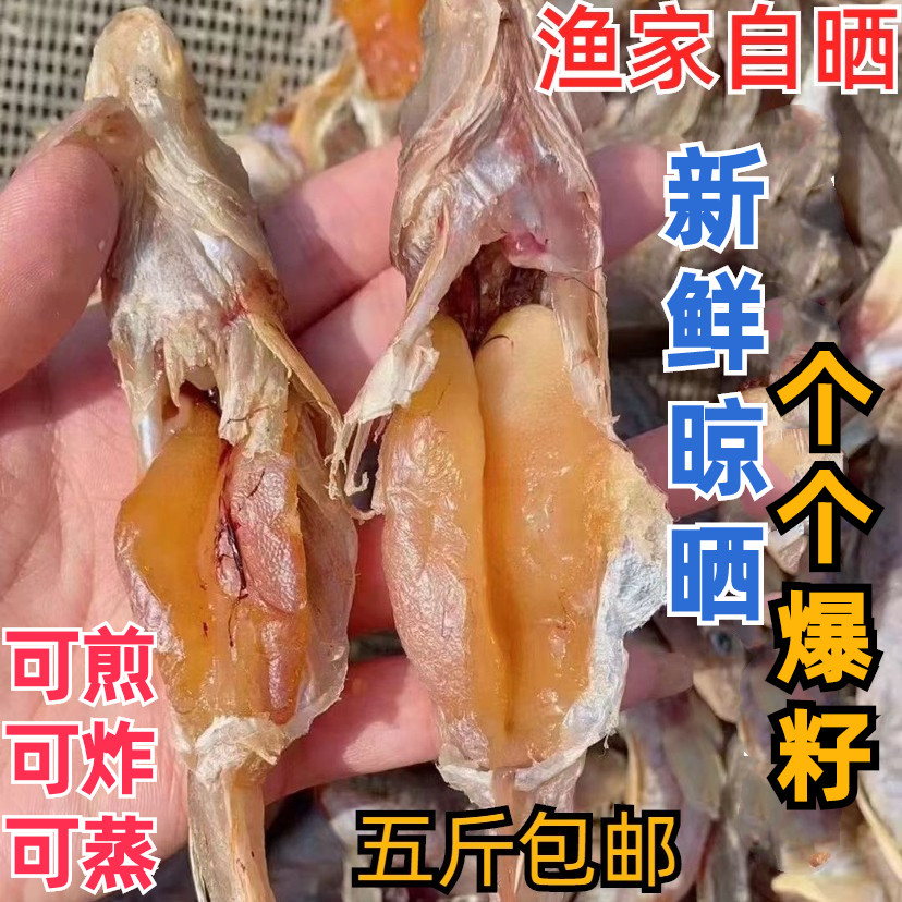 渔民自晒 爆籽油光鱼干 狗光鱼 楞蹦鱼 黄鳍刺虾虎鱼狗杠鱼小咸鱼