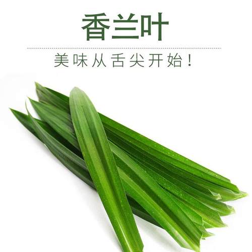 海南新鲜天然斑斓香兰叶蛋糕点糯米饭甜品原料泡沫箱冰袋保鲜包邮